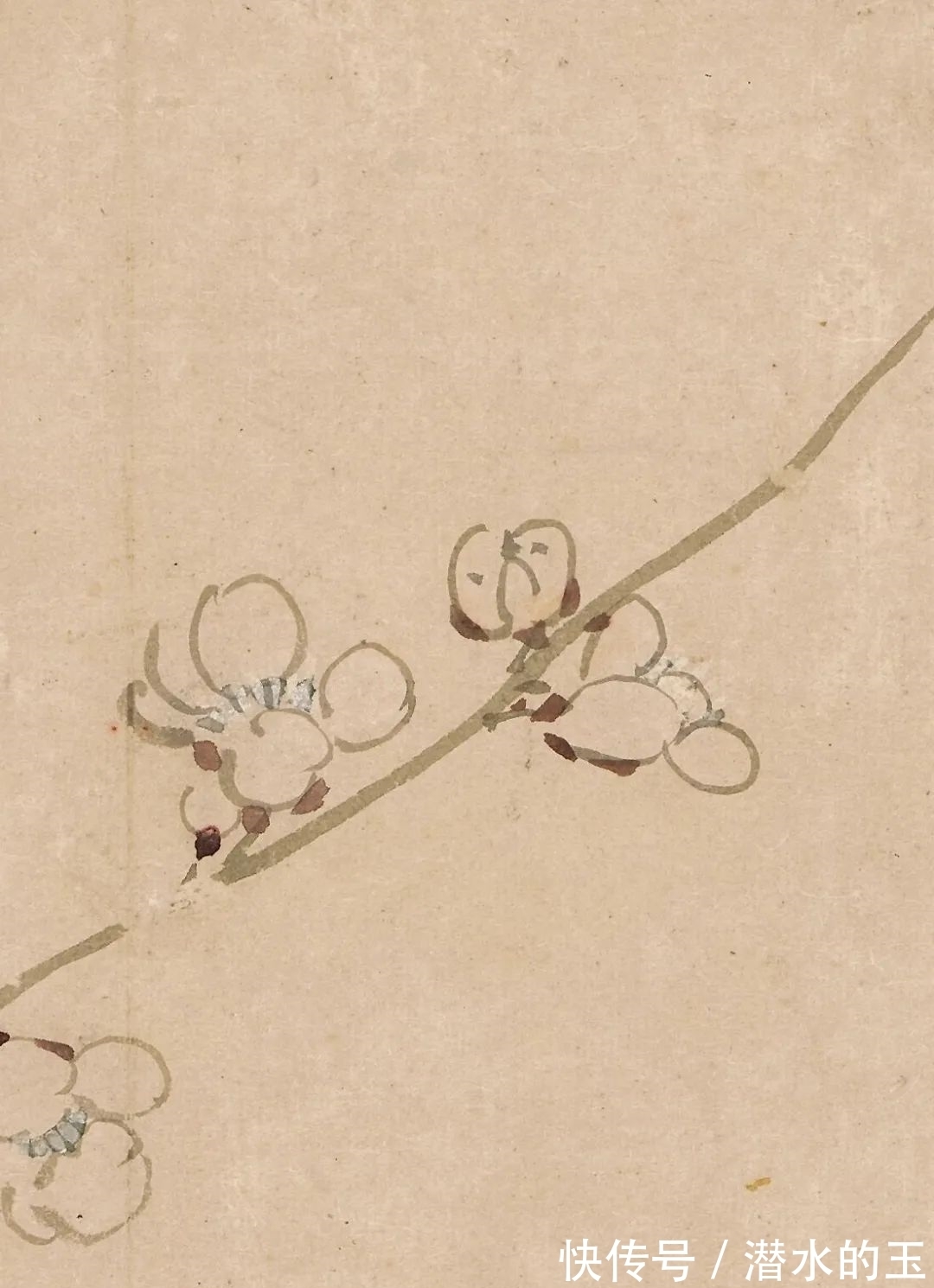 花卉图$汪士慎:一生心事为花忙丨私享艺术