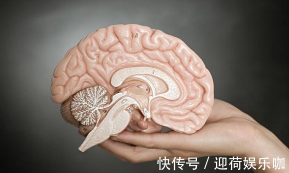 头晕头痛|脑供血不足就是一次小中风！做好这2件事，让你的大脑满血复活