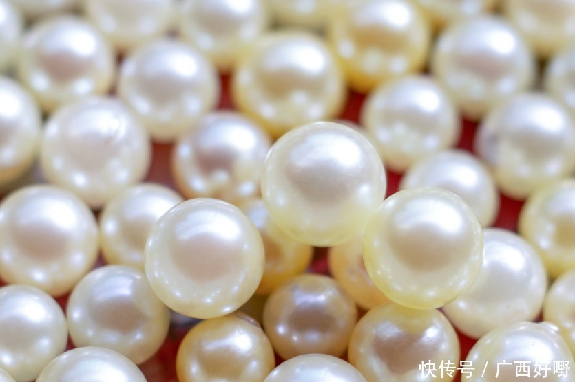 焕发|合浦南珠:光滑圆润惹人爱,历经千年焕发新的活力