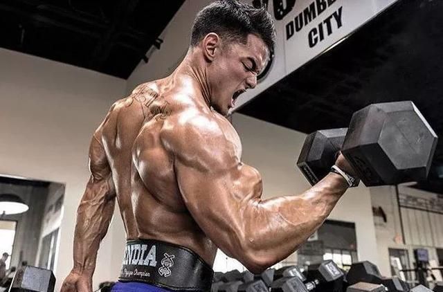 肱三头肌|我们肱二头肌围度迟迟不能突破?你可能忽略了这些!