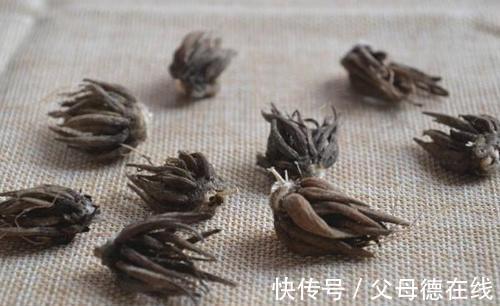 它叫洋牡丹、花毛茛，能与牡丹花相媲美，小白也能种好