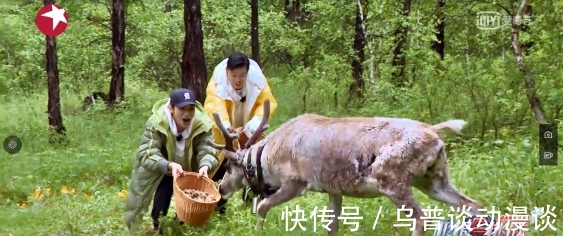 桦树皮|《极限挑战宝藏行2》:绿水青山就是金山银山