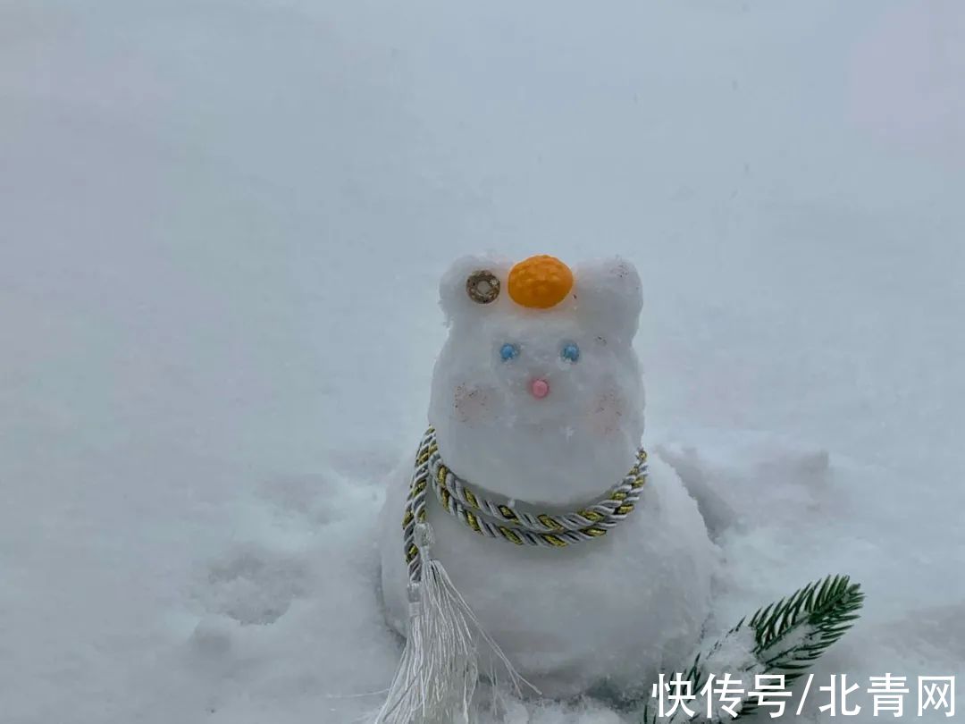 雪人#雪人大比拼，长沙人确实不走寻常路！特别是有位兽医的作品