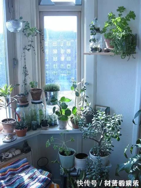 这才是我想要的阳台！种满花，有一个小憩的地方