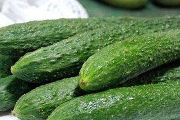 顶花|黄瓜这样吃,会危害身体健康,快看看爱吃黄瓜的你,有没有中招