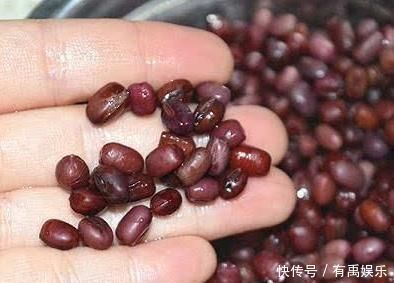 增肥|铜钱草越养越“瘦小”吃点“增肥水”，半月不到，蹭蹭胖2圈