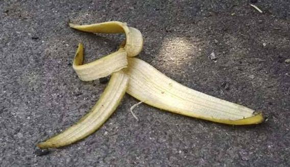 养花门槛虽低,却需要多学习,先掌握“自制肥”要领!