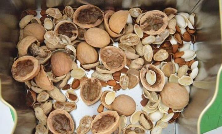 春季换盆“垫底”,十种材料不用花钱买,好用又透气,赶紧去找点