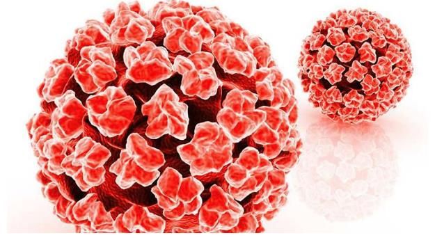 女子|23岁女子查出HPV，医生大骂：有3样东西，再懒也不能和舍友共用