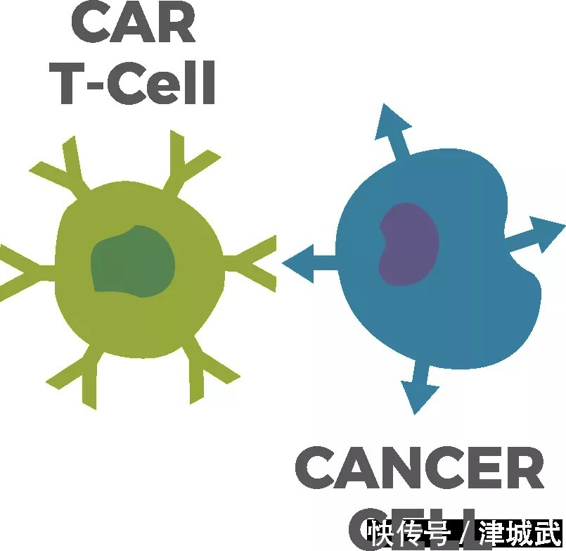 化疗|仅需120万，CAR-T疗法两个月能治愈癌症，但是！有几个人能给得起？