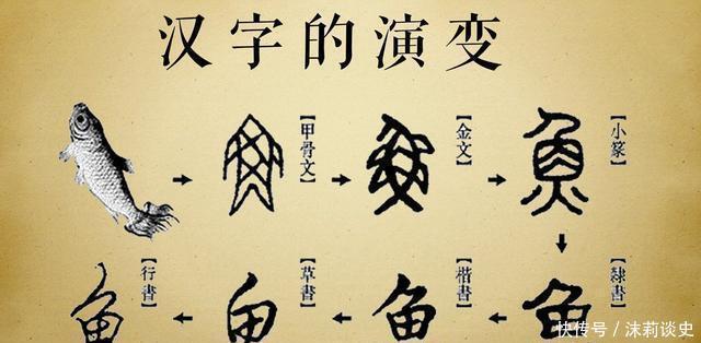 “二简字”推广效果奇佳,为何却被政府废止?专家:快成日本字了