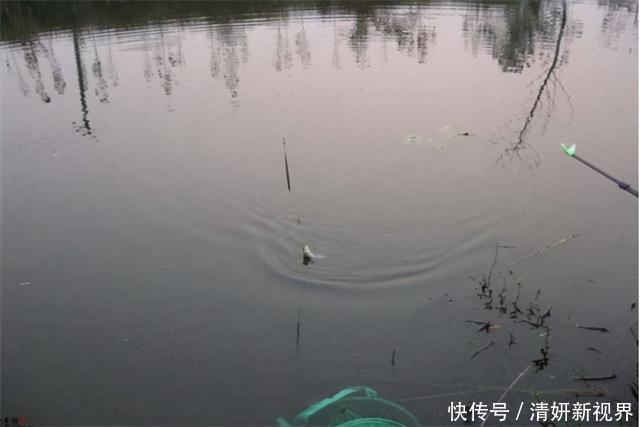 不知道用七星漂还是立漂,看完这篇就知道了