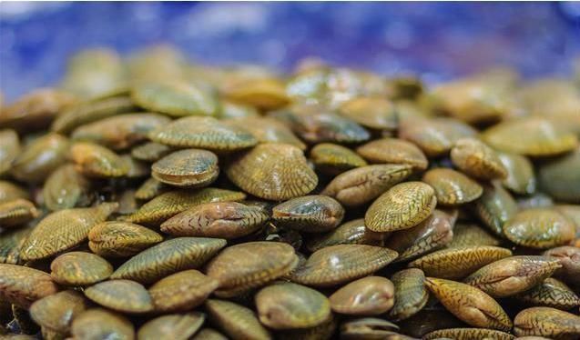 唐本草|一味不被人熟知的良药,“除一身之湿消水肿,软内外硬结散瘿瘤”