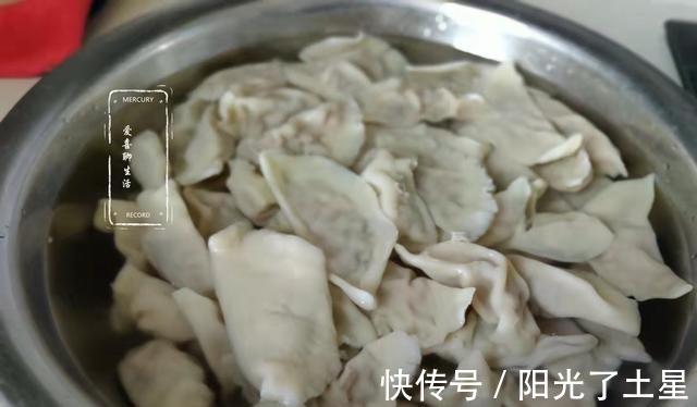 香菇|秋季抓紧吃这菜,剁成馅包饺子吃最香,鲜嫩美味,过一阵子就没了!