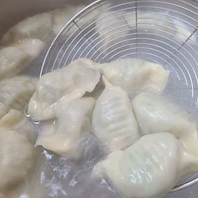 茴香苗素水饺