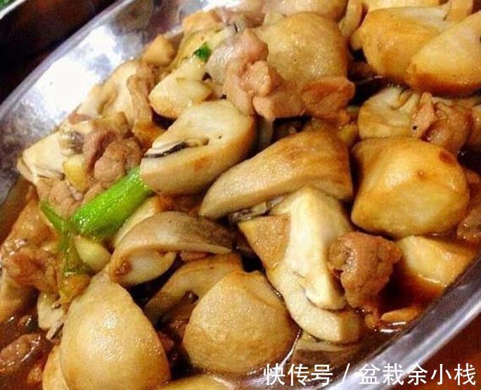 草菇|大暑过后教你几道清淡开胃的下饭菜,鲜香入味,老少皆宜