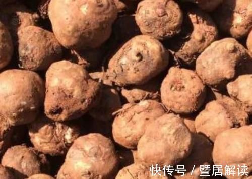 魔芋|糖尿病“最怕”的4种食物,再穷也要经常吃,或血糖渐渐降下来