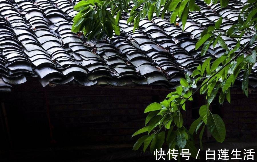 往事#王安石最精彩的怀古宋词,两句唐诗的运用很是亮眼,乃是千古佳作