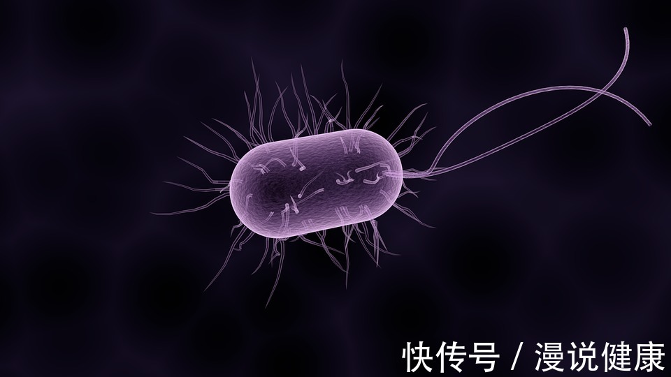 幽门螺杆菌感染|被美国列入明确致癌物?感染一半中国人的这种细菌,究竟有多厉害