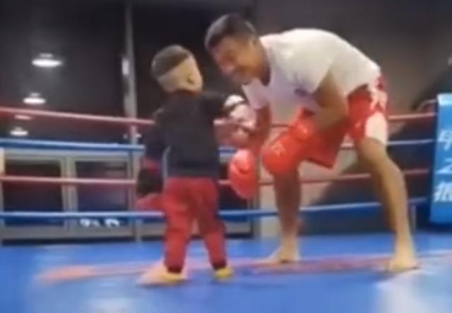 暴力|2岁萌娃打拳击“一秒KO”爸爸火了,网友:拳头挥得真是有模有样