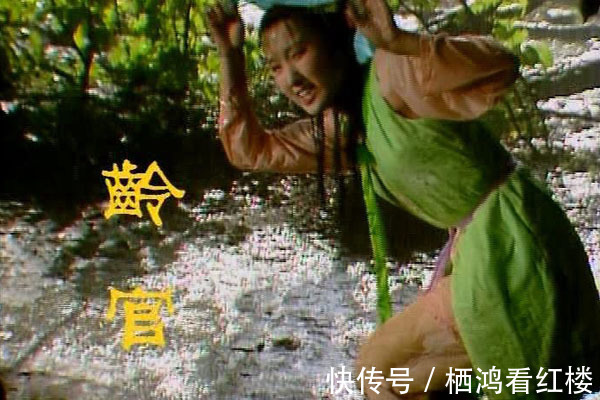 龄官&红楼里做粗活儿的丫头“十二官”都是谁?