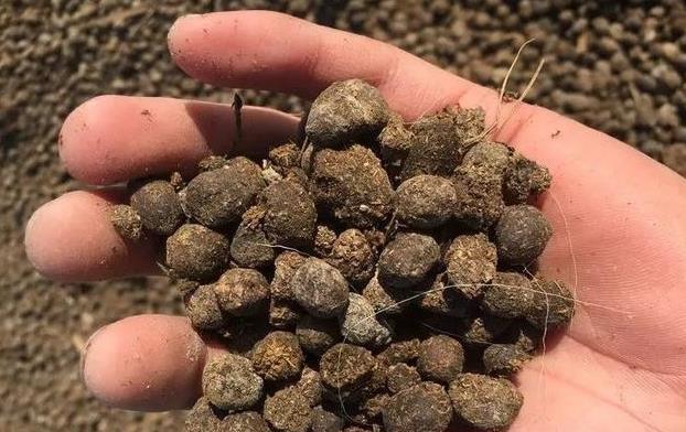 发酵鸡粪、羊粪、蚯蚓粪,到底该选哪一种?看完终于不再迷惑了