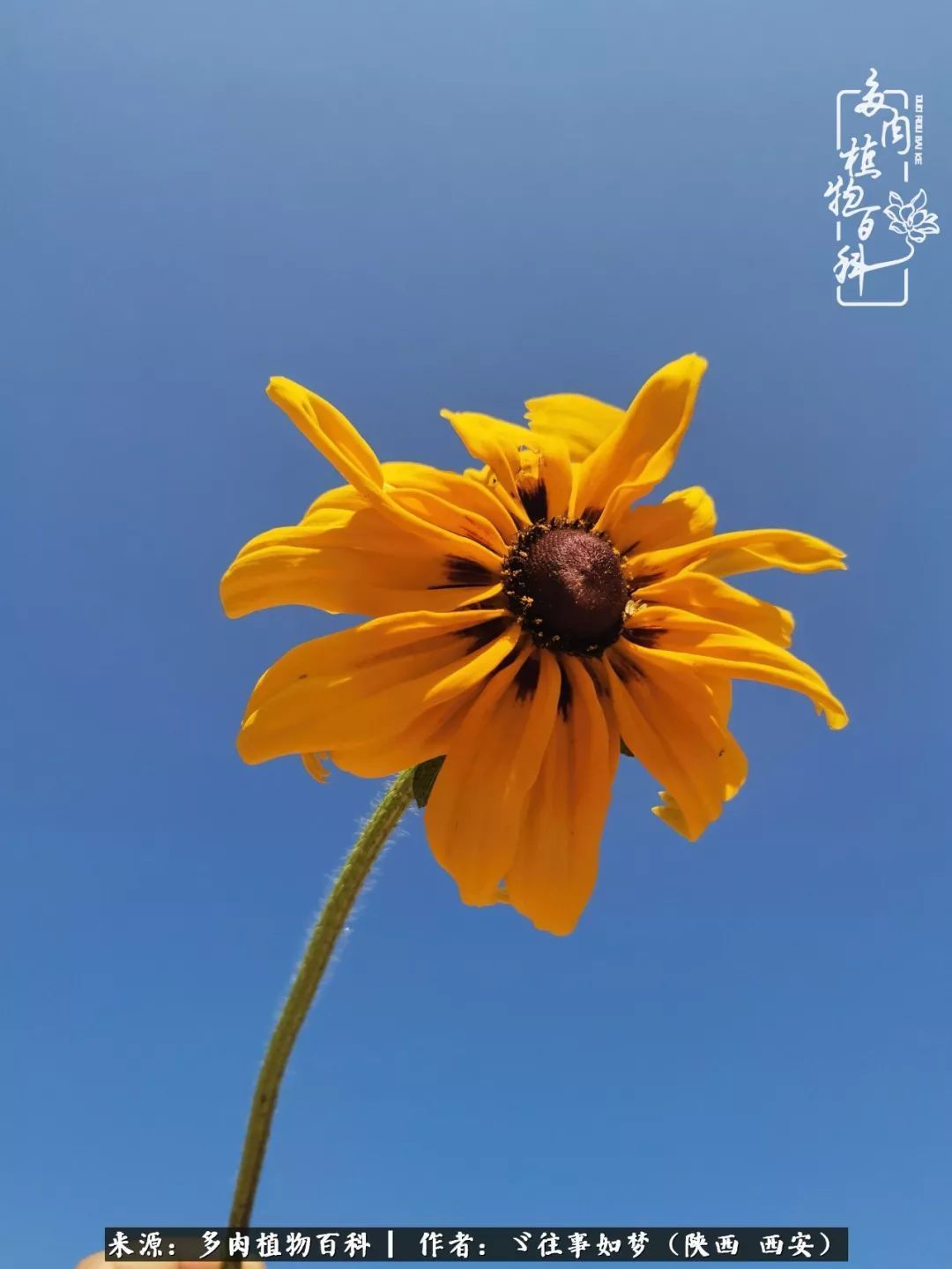 愿你付出甘之如饴，愿你所得归于欢喜！