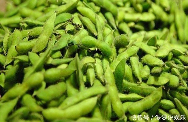 夏天|夏季是吃毛豆的好季节,清热解暑营养多,还有助于孩子智力发育!