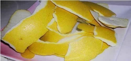 养花就用一种果皮,直接扔盆里,新芽蹭蹭冒,四季不黄叶