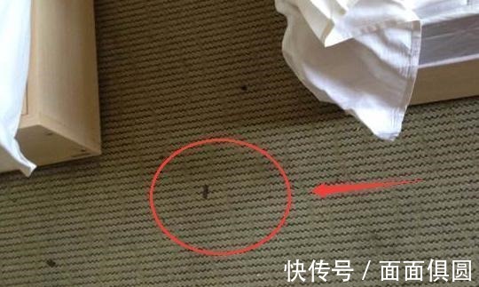 老丈人|房子刚装完!老丈人气冲冲指出16大装修错误,听完真令人炸毛