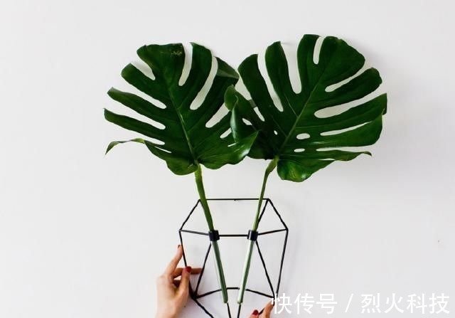 经典@有深度有涵养的哲理句子,经典至极,大彻大悟