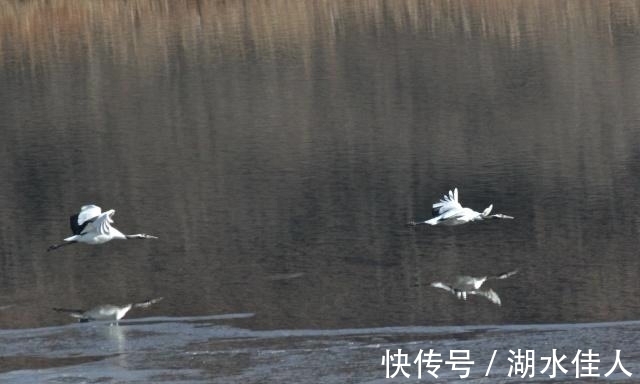 鄱阳湖|中国四大淡水湖现状：鄱阳湖面临消失，基本都呈现水污染