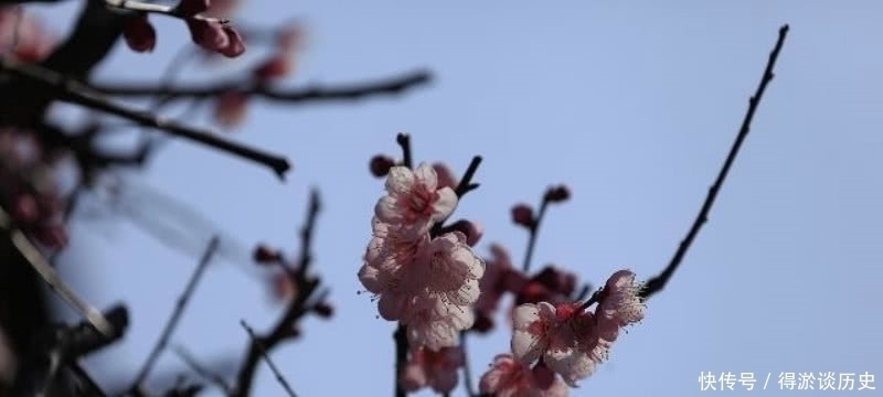 梅花|高僧在大雪纷飞的清晨，见到了雪中的梅花，信手拈来写下一首诗！