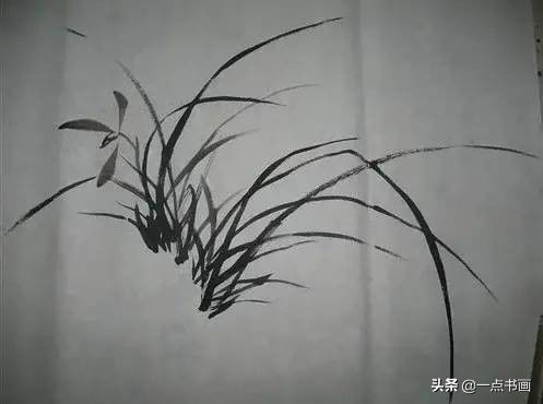 兰花！兰花画法，一学就会