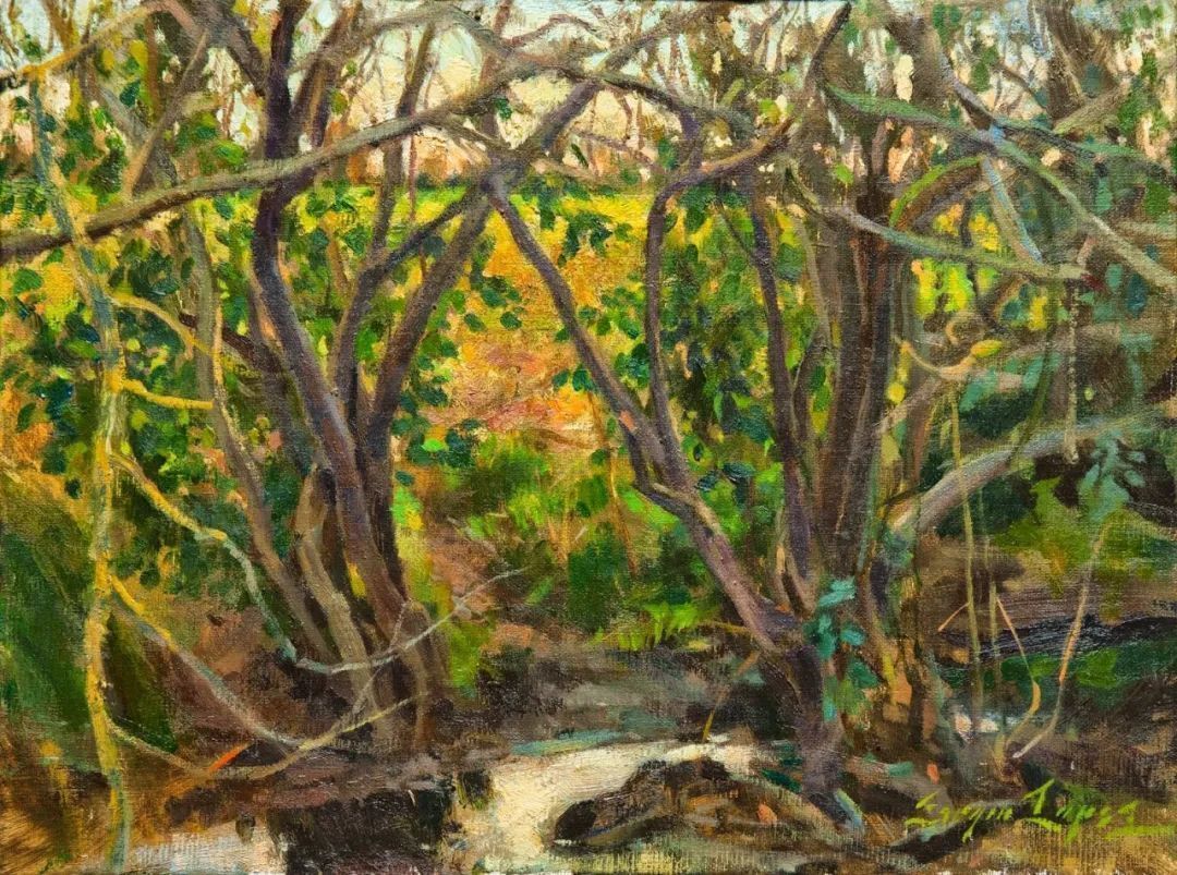 塞尔吉奥@两次入选年度沙龙的决赛,他的画到底美在哪里?