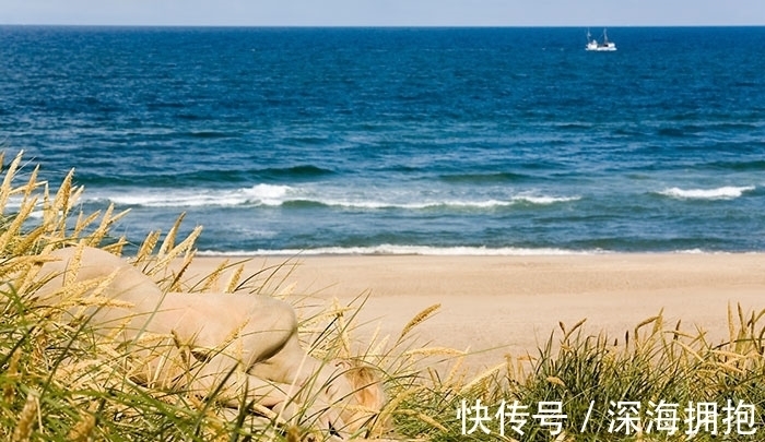 艺术家|美女不穿衣服藏进大自然,惊人伪装考验你的眼力!1秒找到真汉子