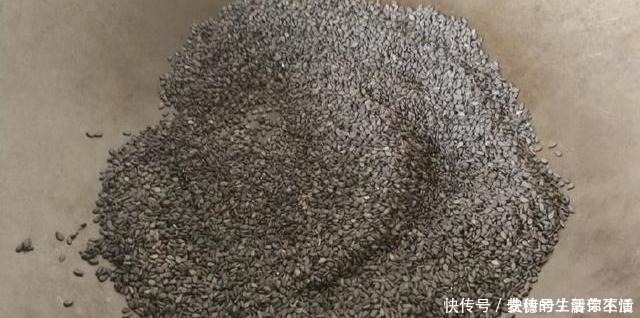 补血|小小一把胜过补药一打，每天早餐喝一碗，益气补血，防长白发！