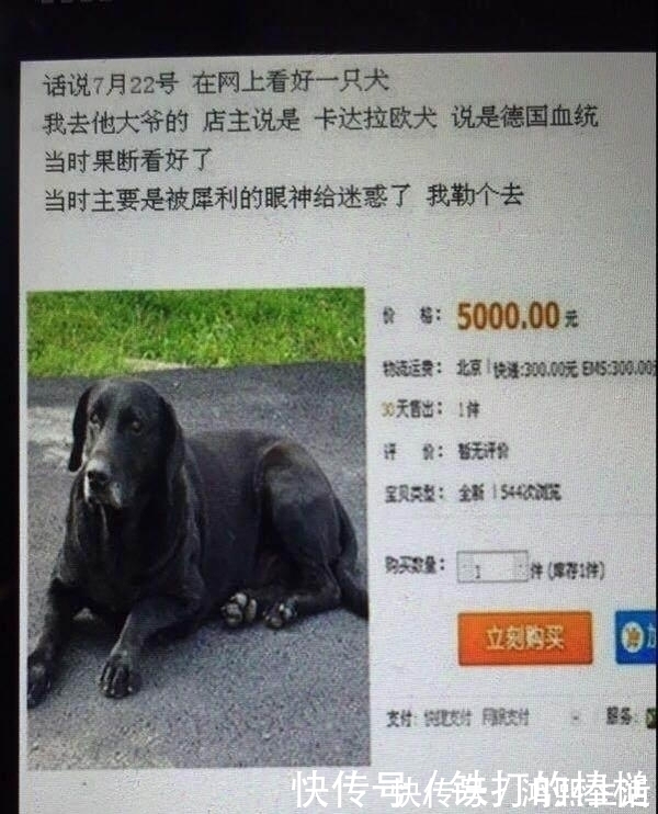 |买家秀和卖家秀的搞笑对比,笑哭客服人员。。