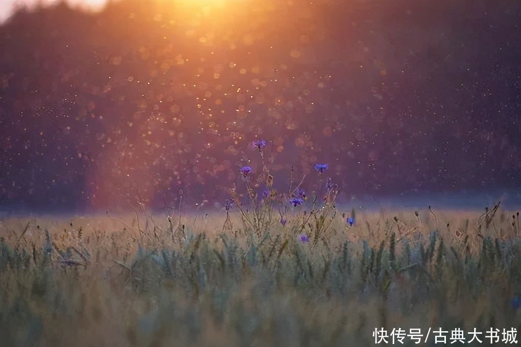 徐霞客#苏轼最通透的一首词,最后两句,让人豁然开朗