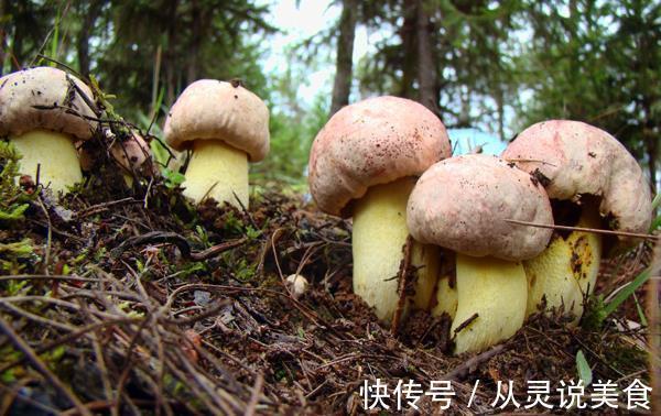 食用菌|它被列为“人类最佳饮食结构”，增肌护心脑！这样吃，养出好体魄