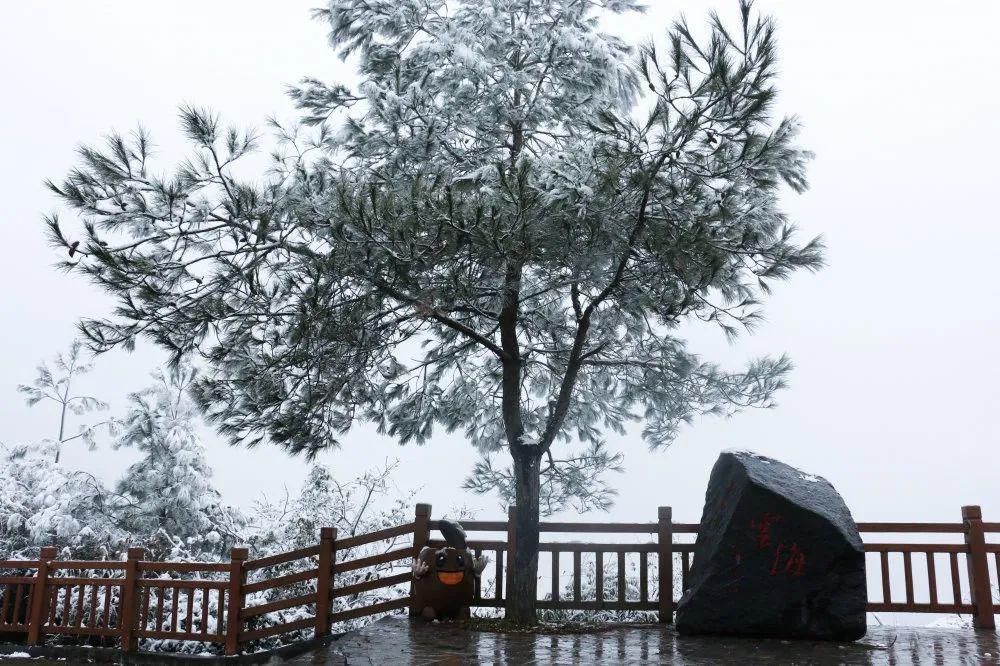 秘密|这个秘密只告诉你，刷爆朋友圈的广元雪景，都在这里了！