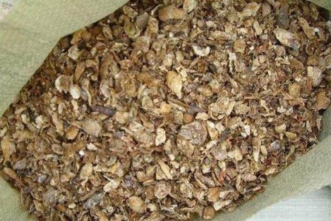 垃圾|别再买花肥了，几种垃圾用来养花，花儿疯长不停，省下一大笔钱