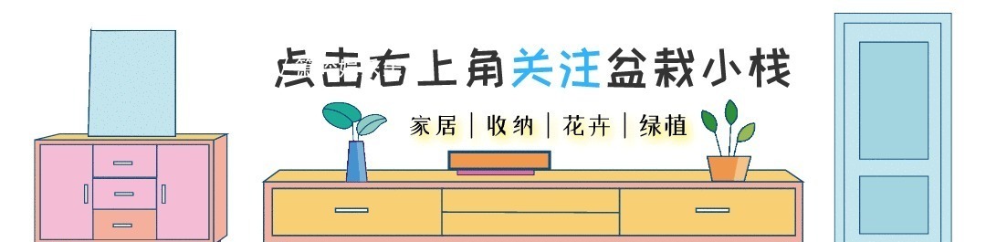 不管穷人富人,客厅建议摆放“3种花”,不贵而且寓意好