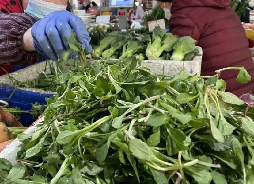 春天|【1053提醒】春天来了，挖野菜的时候到了，但要注意……