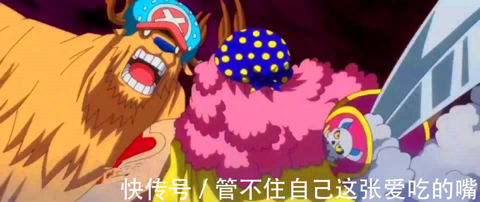 天使|海贼王 关于拉菲特, 他应该是人人果实天使形态吧!