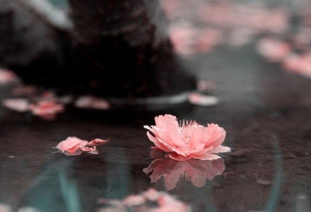 聪明|诸葛智慧:一场奇怪的梦,让诸葛亮悟到决胜智慧