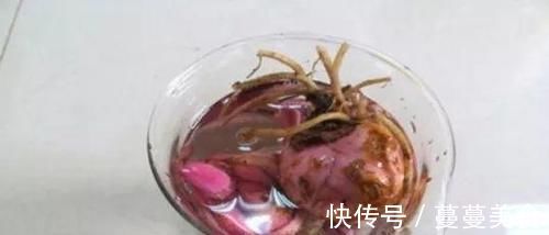 过期小药片不要丢，尤其是这3种，用来养花，生根快开花多