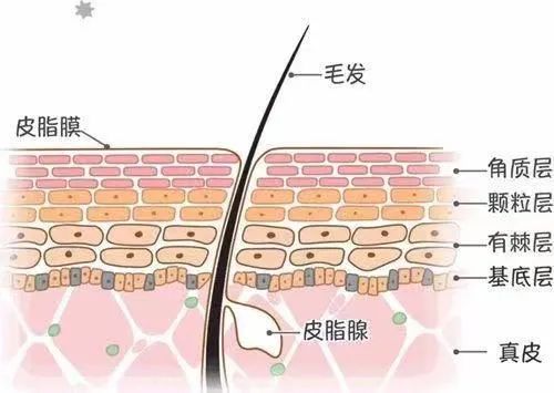 脸蛋子|我烂脸了！新年皮肤急救（完整版）