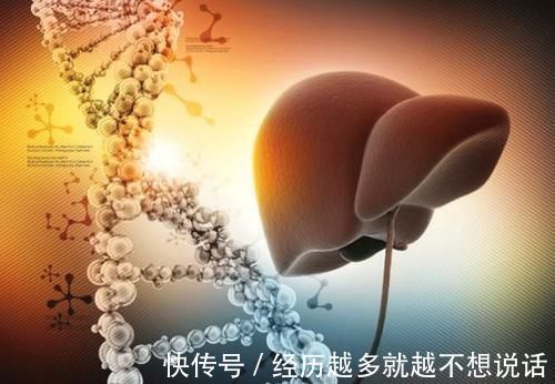 肝毒|养肝“加油站”被发现,不是菊花,敞开吃,肝脏恢复年轻状态