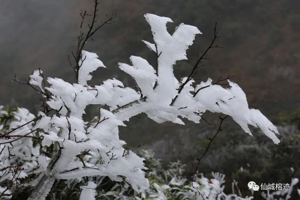 大明山赏雾凇